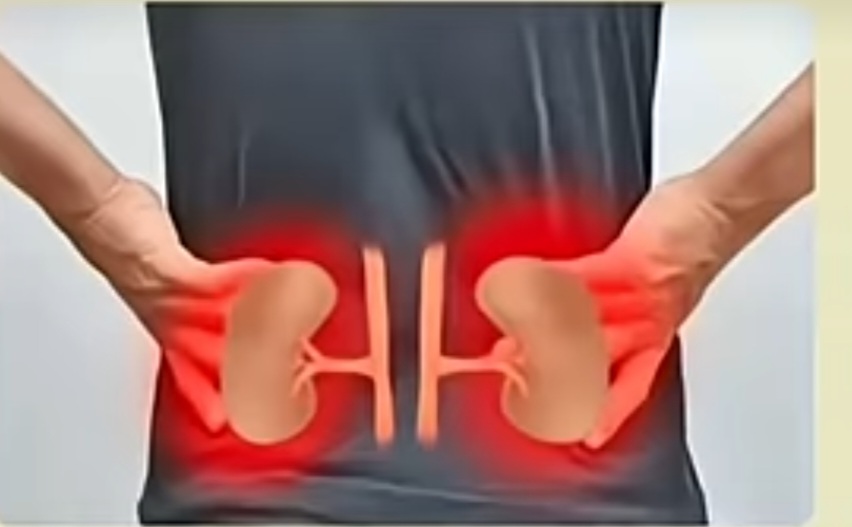 কোমরে ব্যাথা কি কিডনি রোগের লক্ষণ?